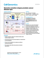 Evolutionary Subtypes of Prostate Cancer