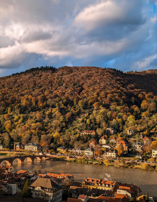 The picturesque town of Heidelberg