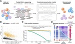 Characterizing Genetic Intra-Tumor Heterogeneity Across 2,658 Human Cancer Genomes